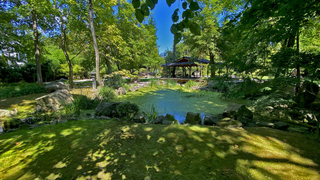 Önálló kiállítás a szentendrei Japánkertben